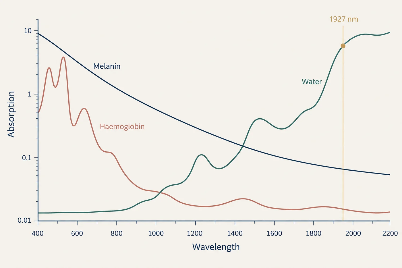 A diagram showing how different laser wavelengths are absorbed by melanin, haemoglobin and water in skin.