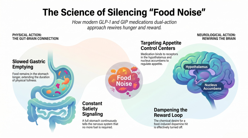how does glp 1 reduce food noise What Is Food Noise? How Weight Loss Injections Stop It